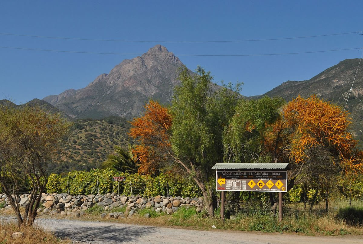 La Campana Pe uelas Balancing Biodiversity In Chile LAC Geo la-campana-pe-uelas-balancing-biodiversity-in-chile-lac-geo